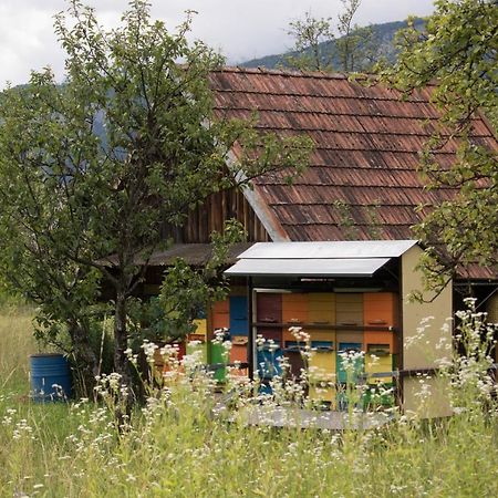 Apartament Apartma Petra Ravnik - Wanderer'S Hut Bohinj Zewnętrze zdjęcie
