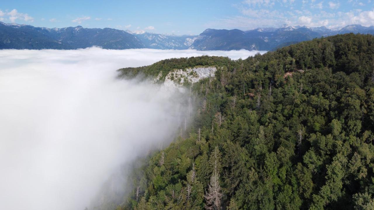Apartament Apartma Petra Ravnik - Wanderer'S Hut Bohinj Zewnętrze zdjęcie