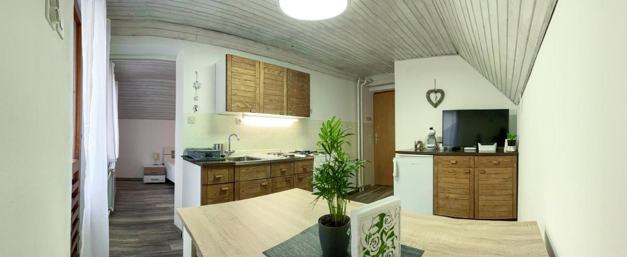 Apartament Apartma Petra Ravnik - Wanderer'S Hut Bohinj Zewnętrze zdjęcie