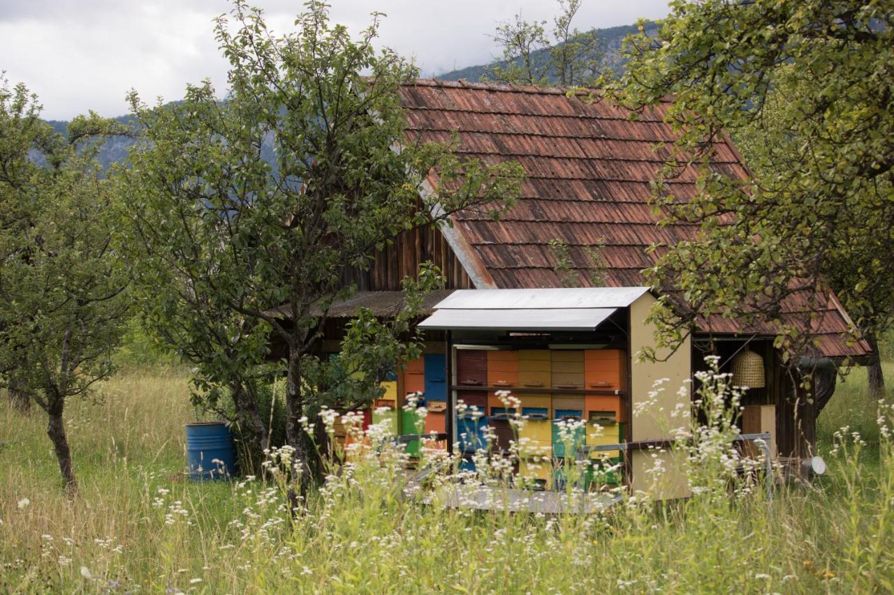 Apartament Apartma Petra Ravnik - Wanderer'S Hut Bohinj Zewnętrze zdjęcie